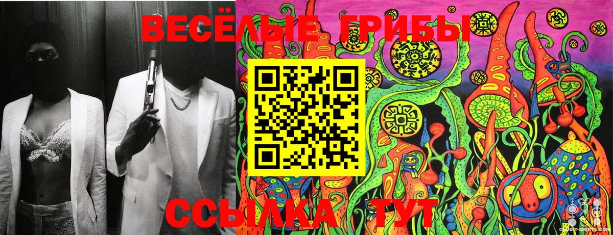 Псилоцибиновые грибы Psilocybine cubensis Тулун