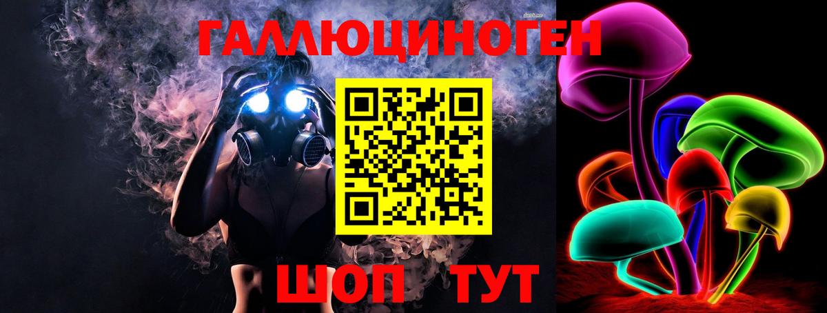 Псилоцибиновые грибы Psilocybe  что такое   Тулун  Вход с VPN 